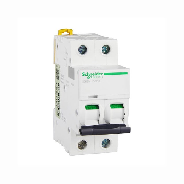 Schneider-Electric 施耐德 iC65N 25A 2P小型斷路器 A9F19225